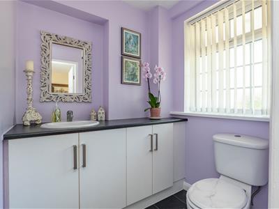 Picture 19